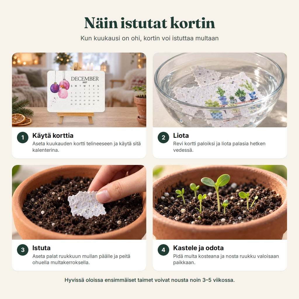 Näin siemenkalenterin kortit istutetaan vaihe vaiheelta