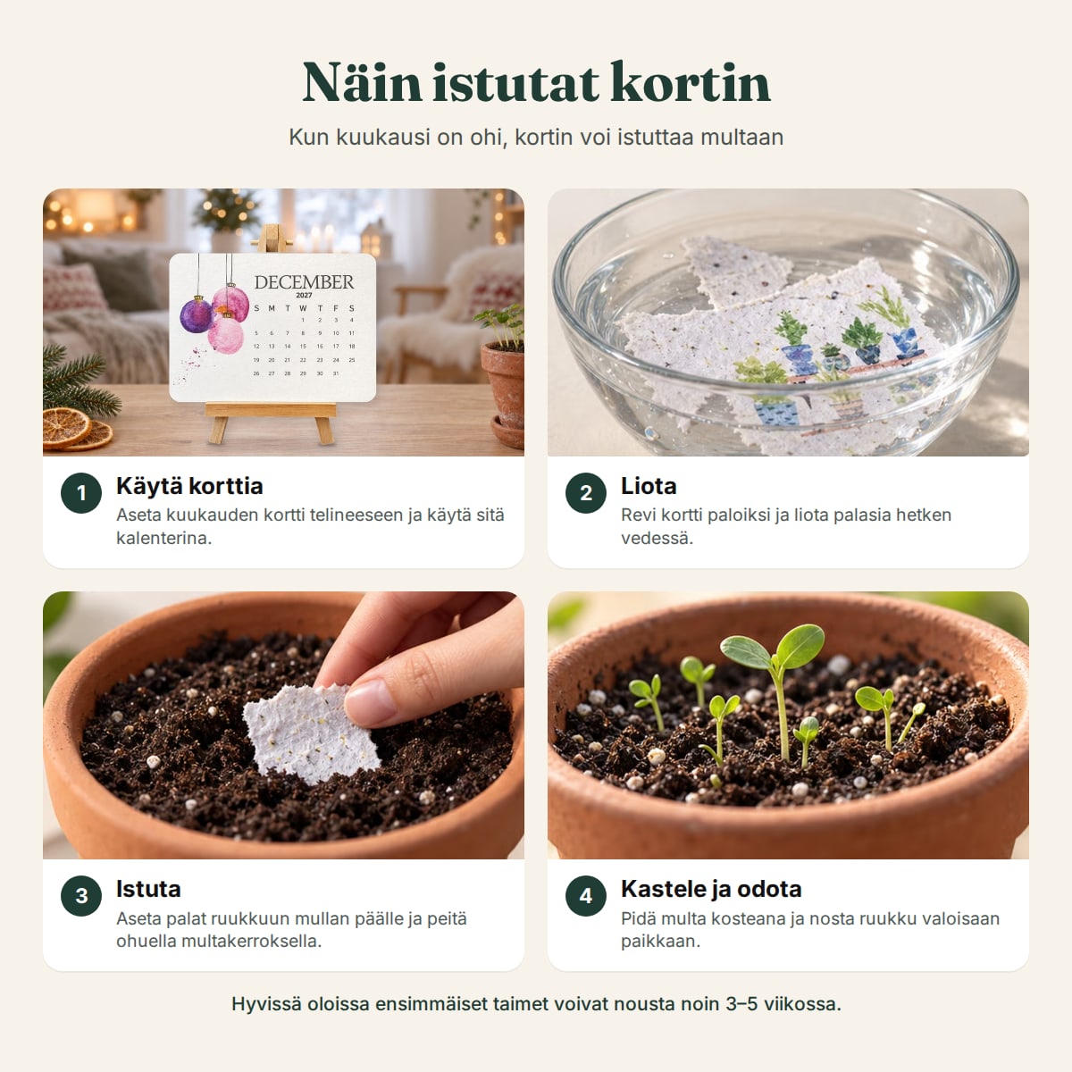 Näin siemenkalenterin kortit istutetaan vaihe vaiheelta